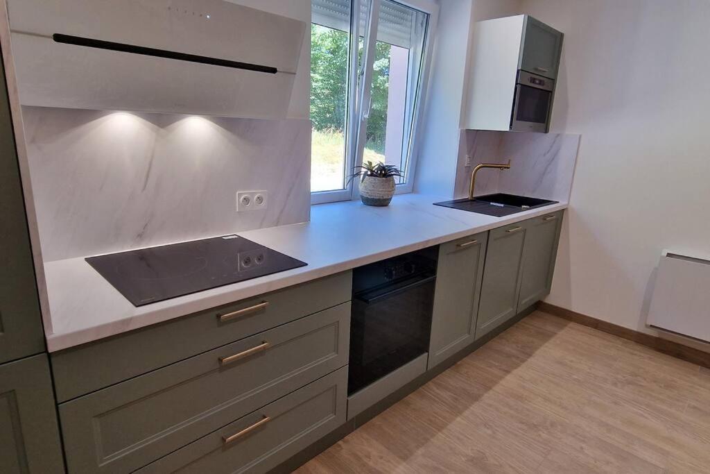 Ferienwohnung La Dame - Parking Prive - Proche Ge Alstom Cravanche Exterior foto